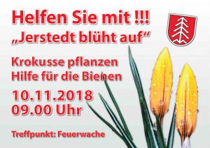 Mehr über den Artikel erfahren Jerstedt blüht auf