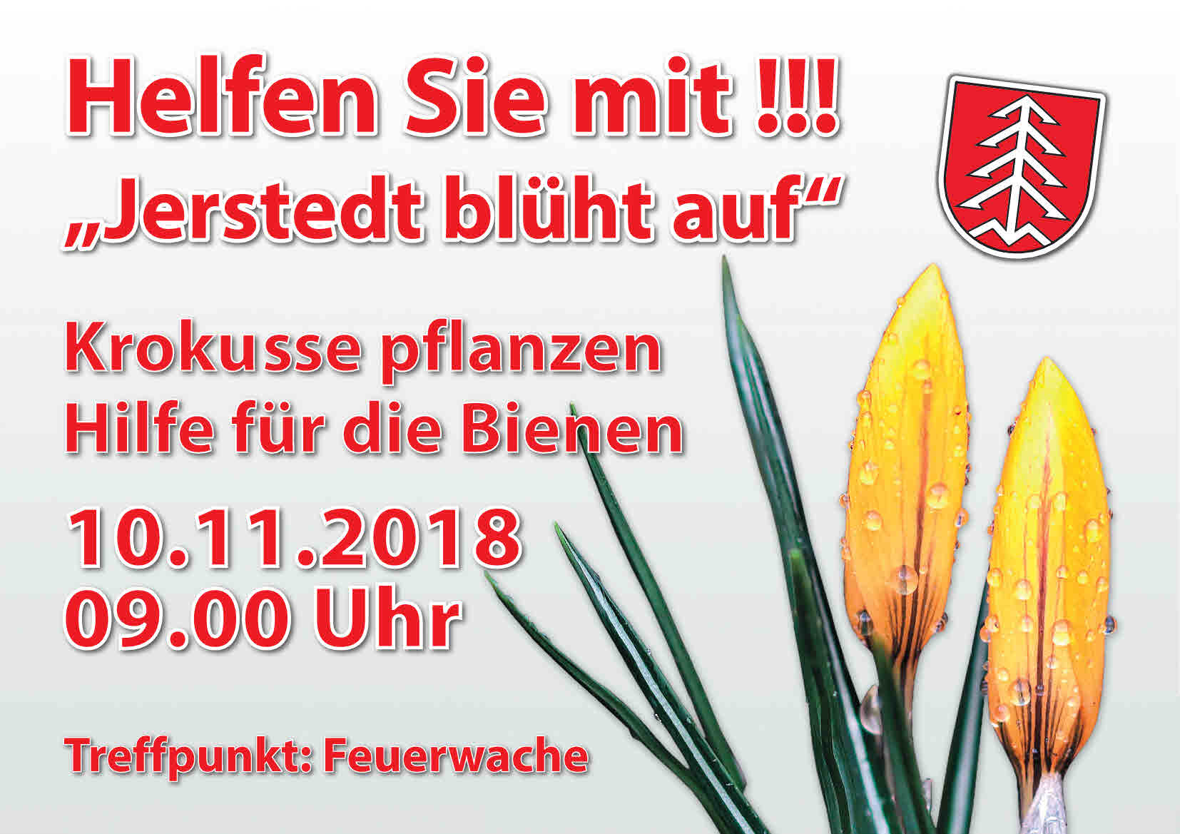 Du betrachtest gerade Jerstedt blüht auf
