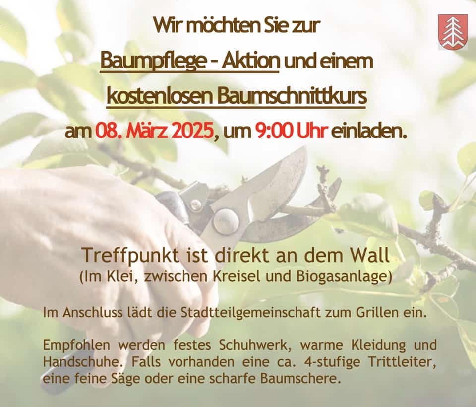 Mehr über den Artikel erfahren Baumpflege-Aktion